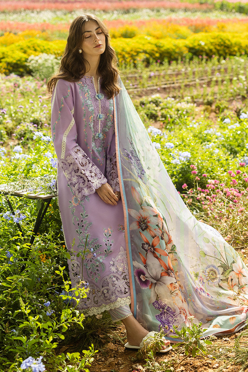 Secret Garden Dhanak by Mushq