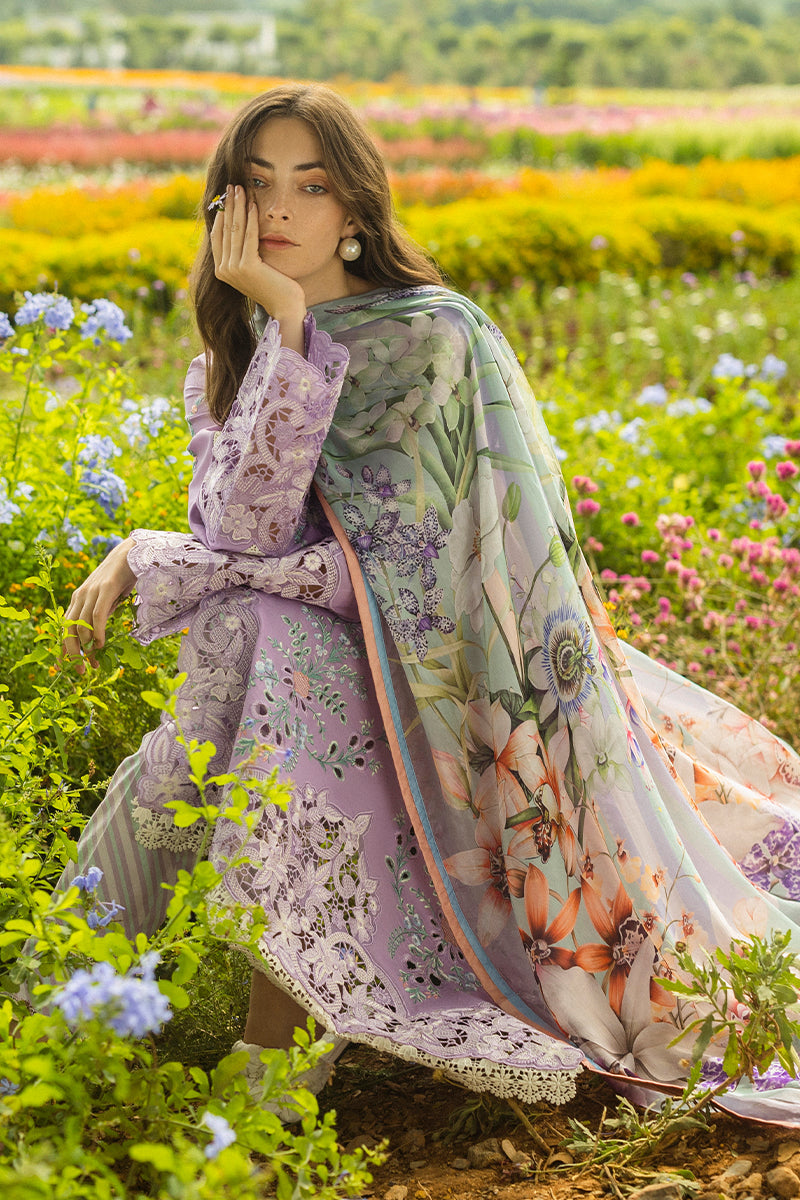 Secret Garden Dhanak by Mushq