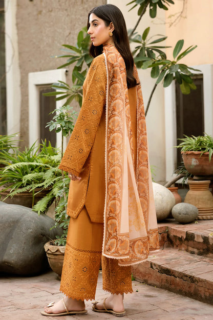 Golden Dusk Unstitched 3 piece Dhanak