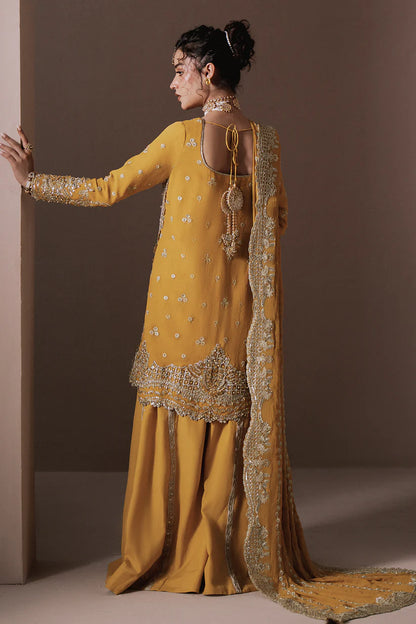 Dhanak